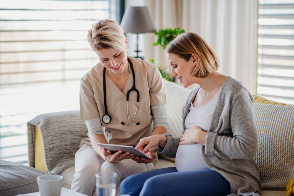 Nurse talks with pregnant woman in her home.